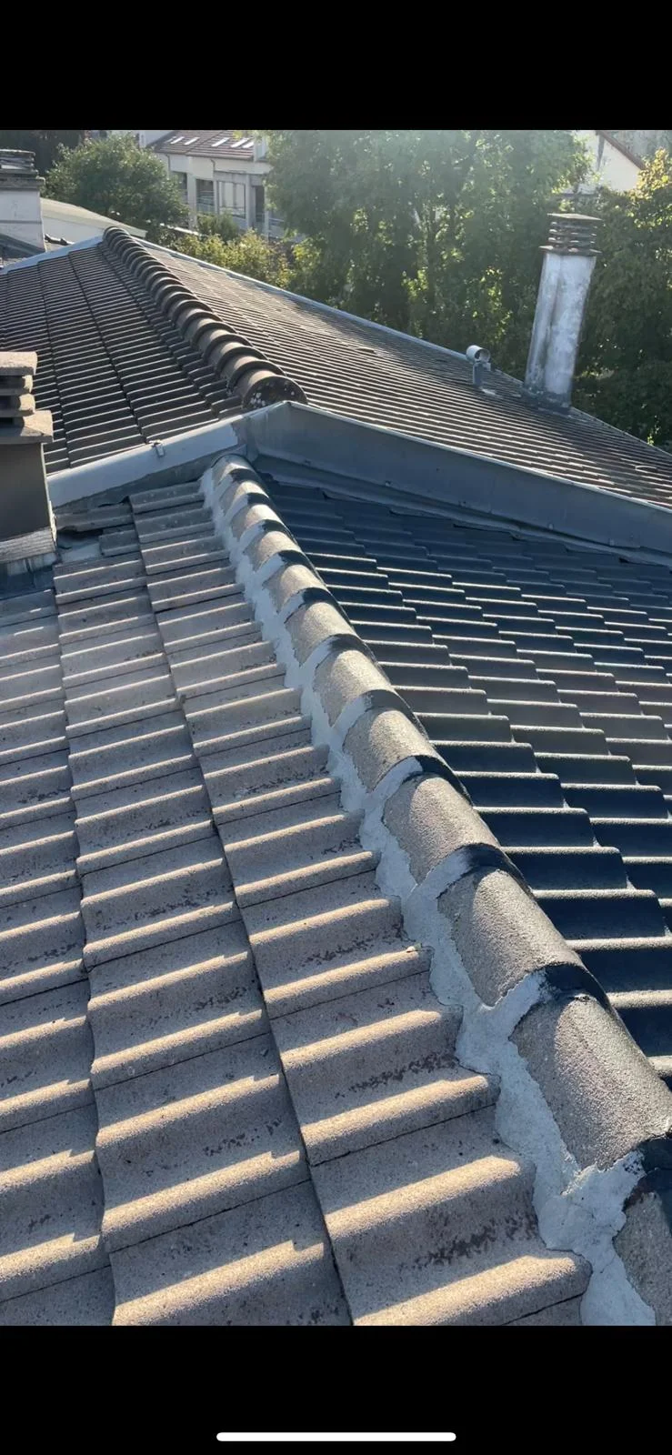 Nettoyage de Toiture - Photo 4